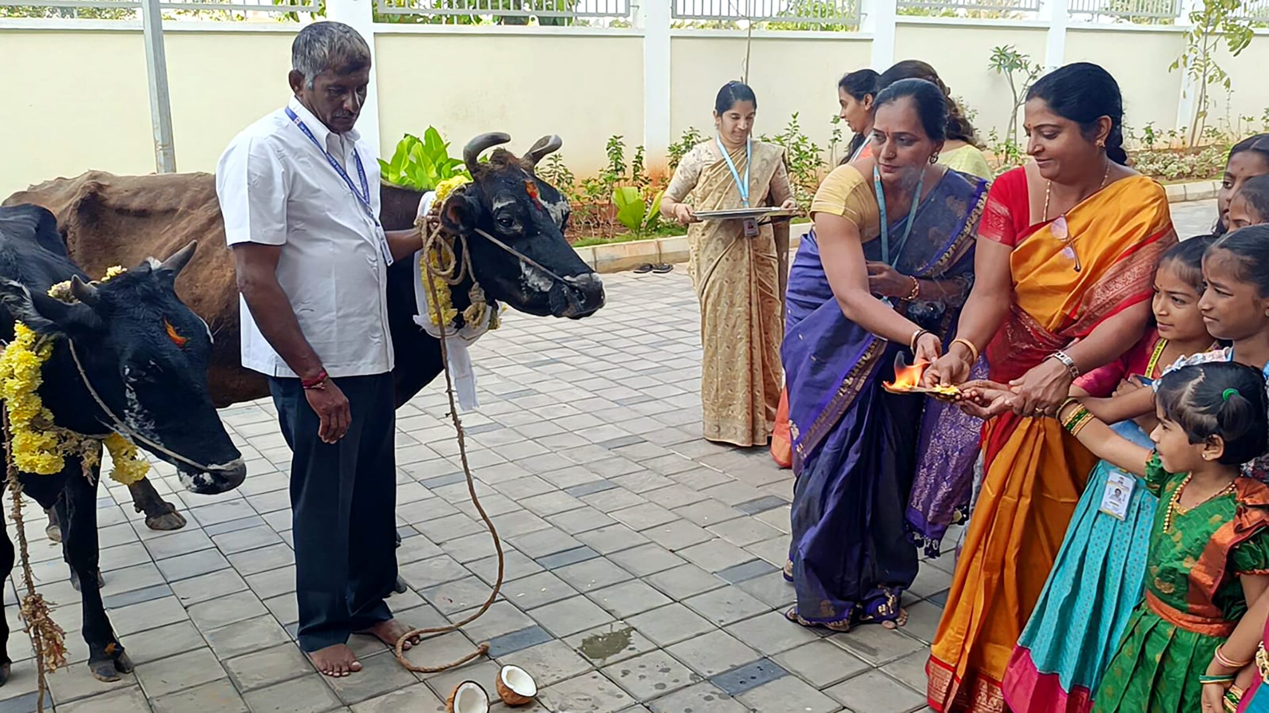 Makara Sankramana Festival Celebrated in RVK - Hassan (4)