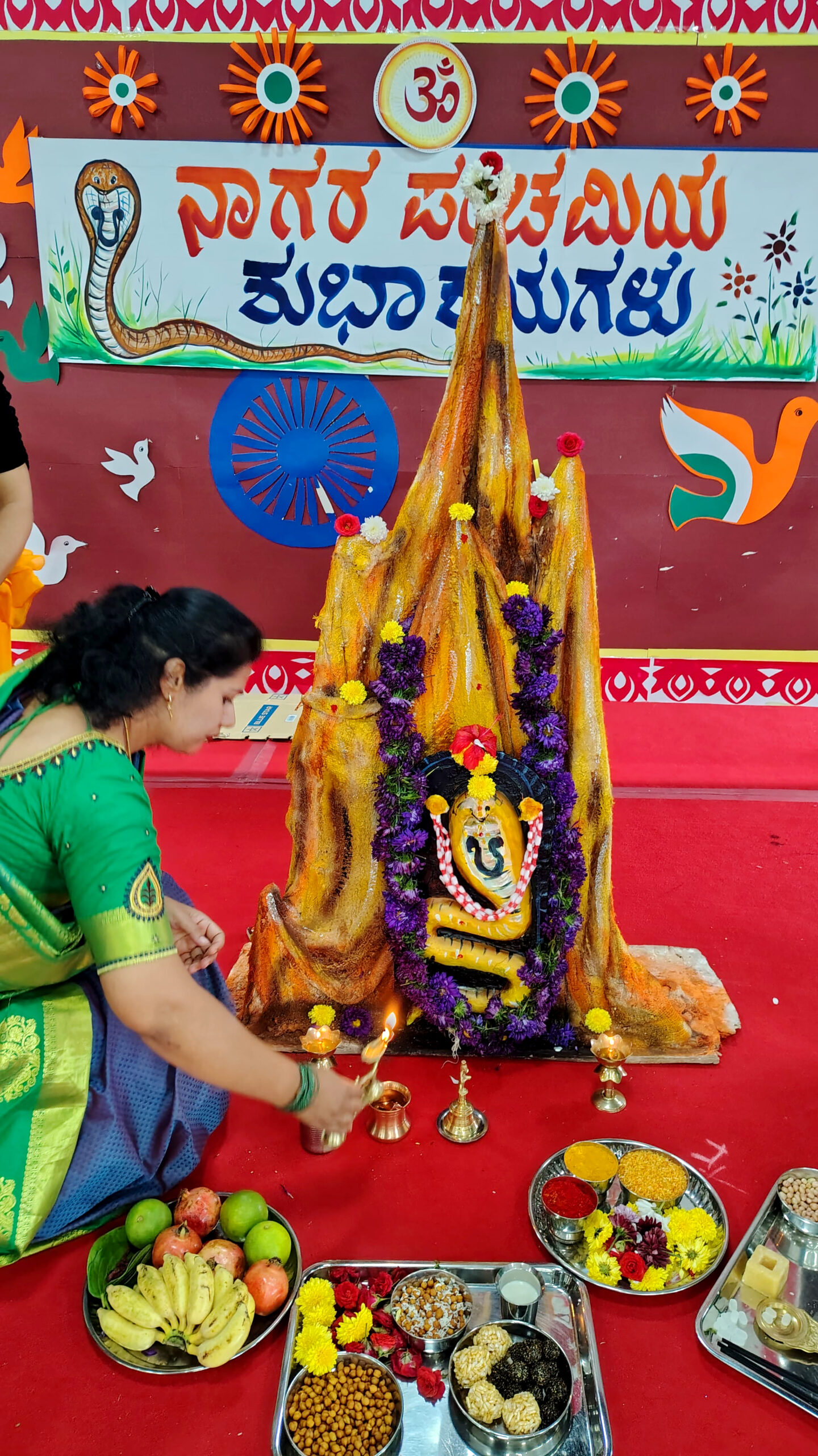 Nagara Panchami Celebrated with Cultural Fervour at RVK - Hassan (6)